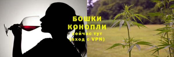 эйфоретик Арсеньев